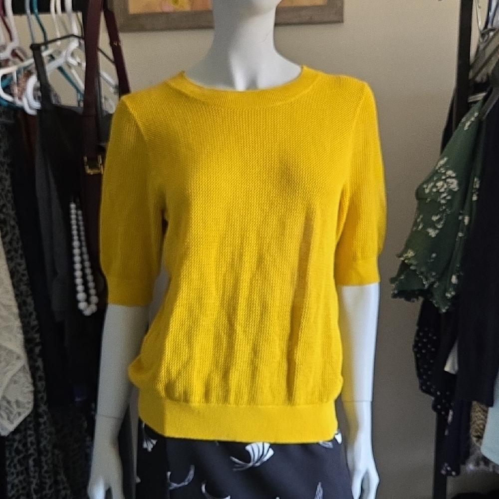 RW&CO Mustard Yellow Crew Neck Lightweight Mesh Knit Half Sleeve Sweater